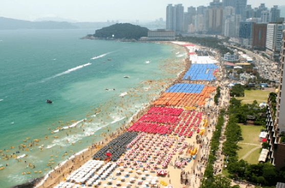 2025 전국 해수욕장 개장일 폐장일 가이드