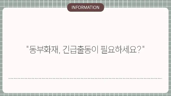 보험 보상 서비스 이미지