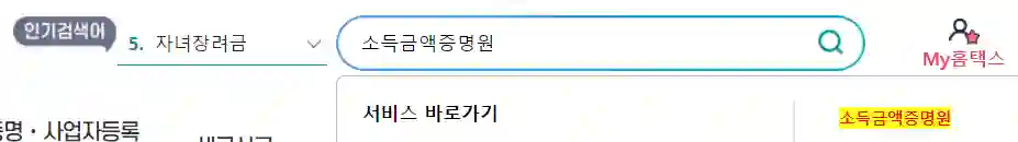 소득금액증명원 검색
