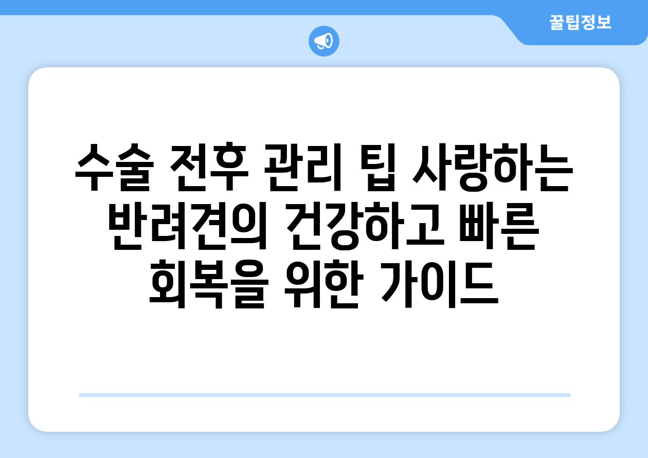 수술 전후 관리 팁 사랑하는 반려견의 건강하고 빠른 회복을 위한 가이드