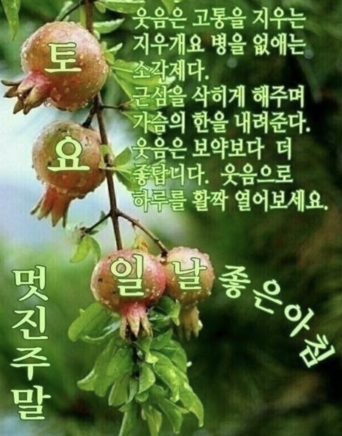 토요일 아침인사말