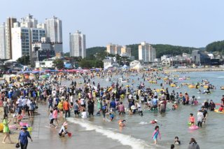 전국 해수욕장 개장