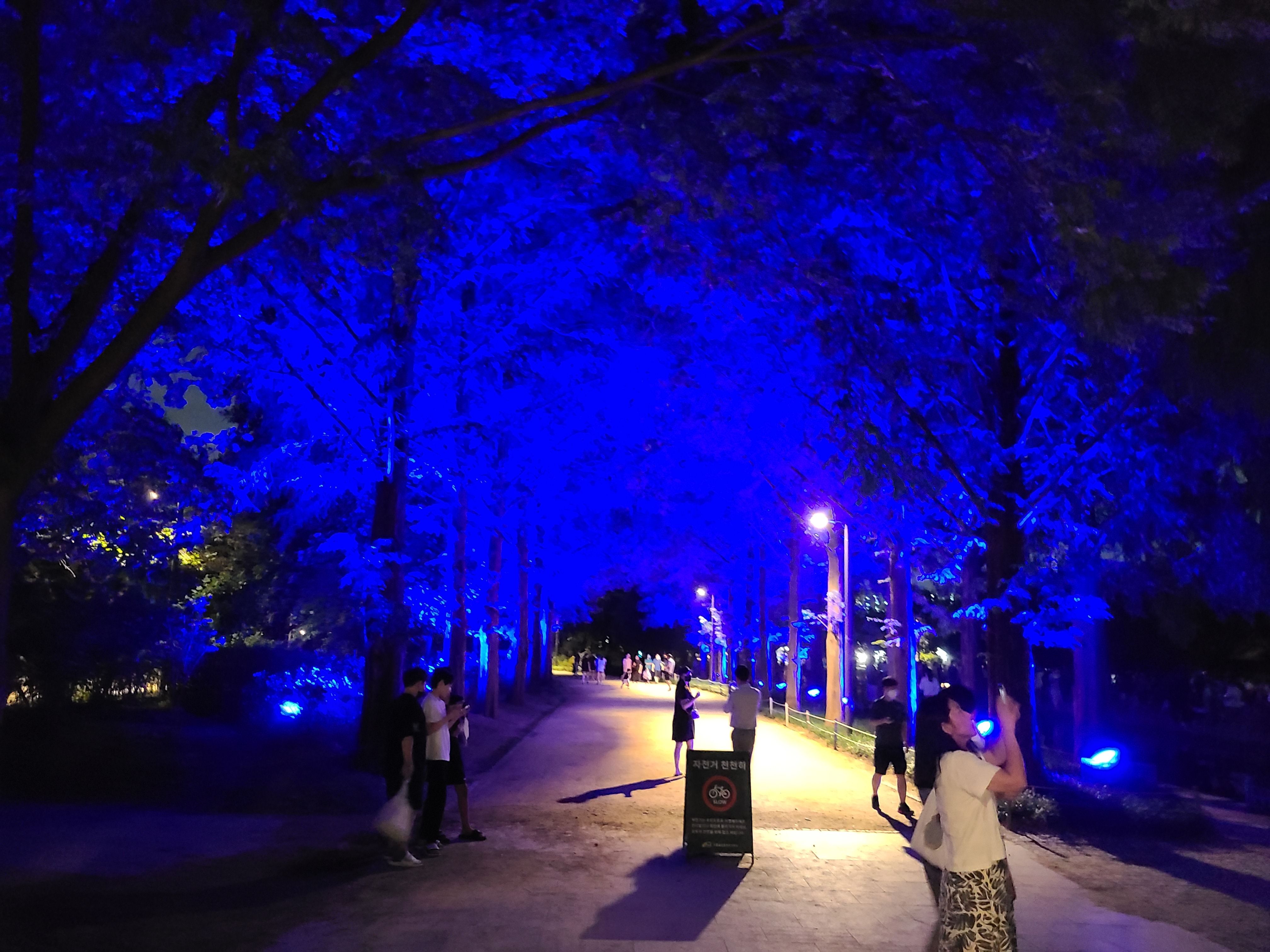 야경이 멋진 서울숲 밤 풍경