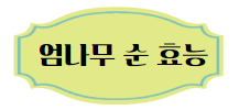 이 이미지를 클릭하시면 엄나무 순의 효능과 부작용에 관한 포스팅으로 이동 됩니다.