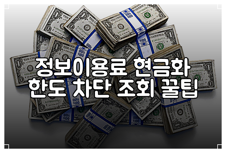 정보이용료 현금화 한도 차단 조회 꿀팁