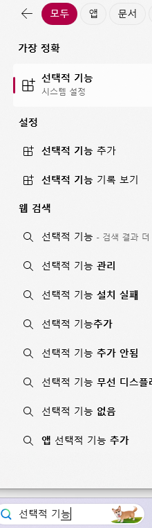 윈도우 검색창에서 선택적 기능 검색