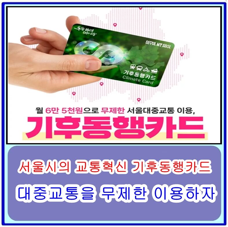  세계가 주목하는 서울시의 교통혁신 기후동행카드로 대중교통을 무제한 이용하자