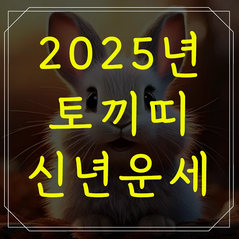 2025년 토끼띠 신년운세