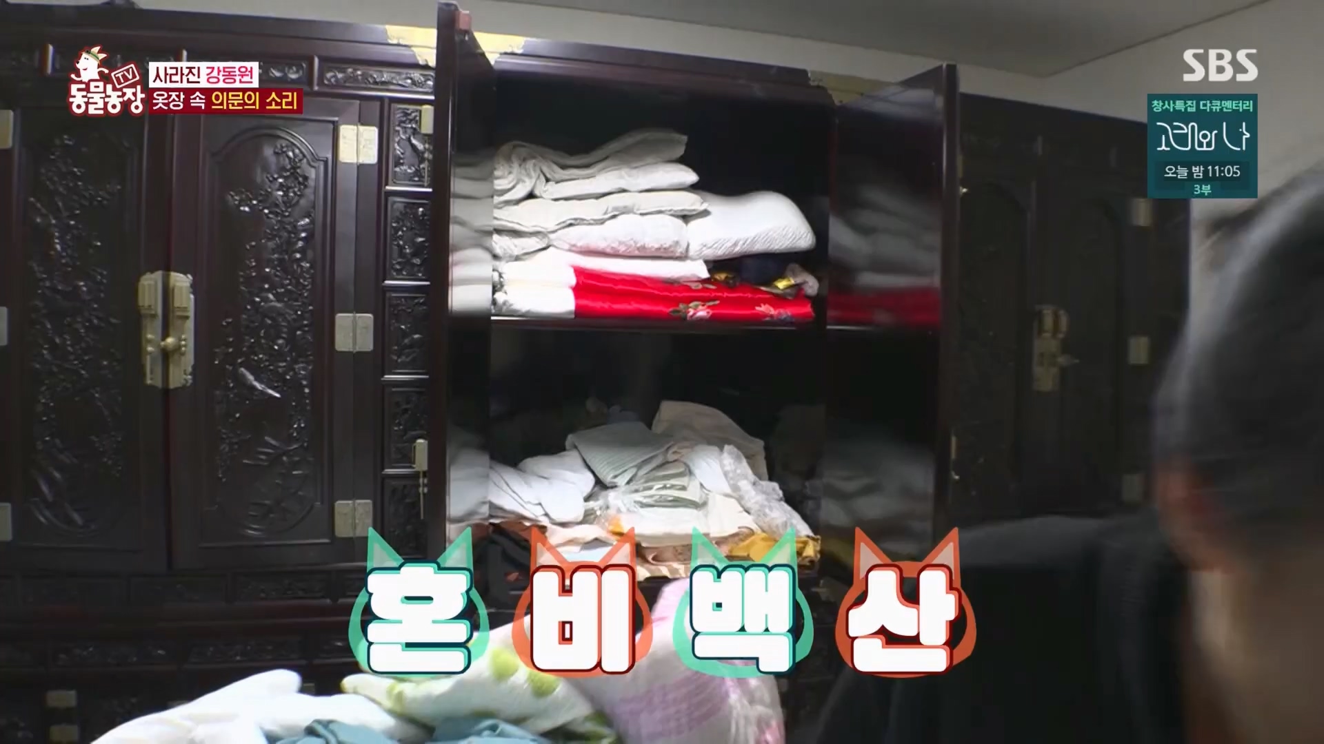 TV 동물농장.E1148.231203p.H264-F1RST.mp4_20231203_181438.381.jpg