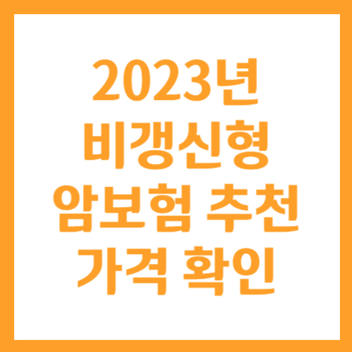 2023년 비갱신형 암보험 추천 및 가격 확인