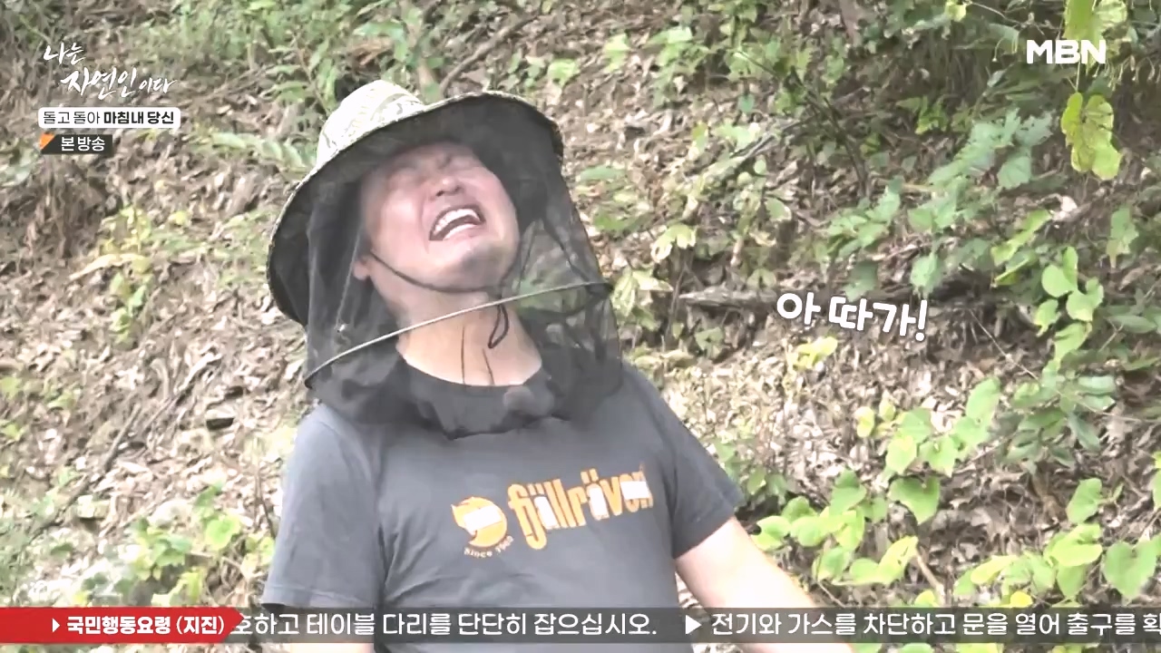 나는 자연인이다.E577.231026p-NEXT.mp4_20231026_200402.666.jpg