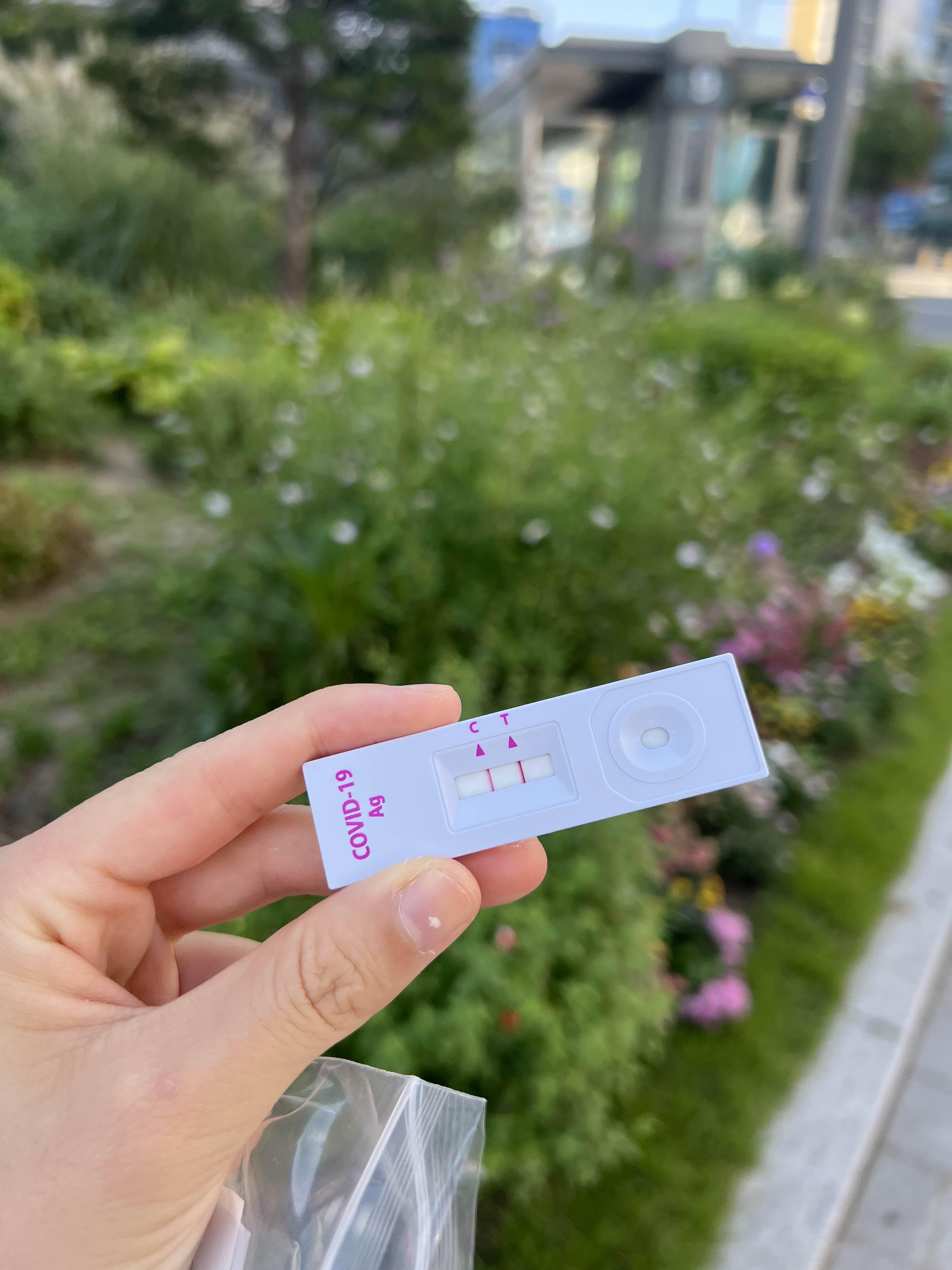  코로나일기 2 ・ 코로나 초기 증상 & PCR 검사. 해맑게 걸려버린 코로나 뒷북 일기
