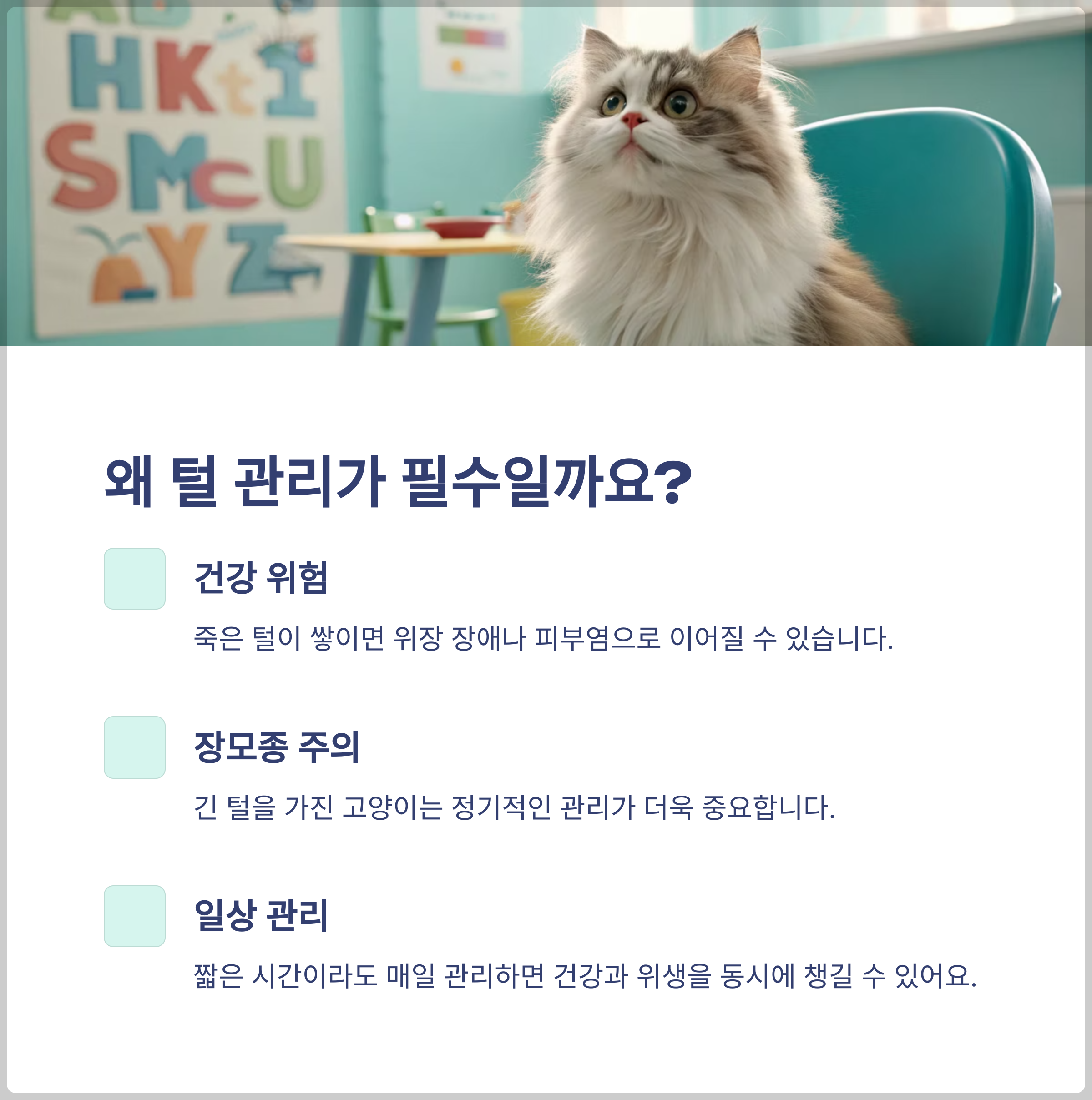 고양이 털 관리는 왜 중요할까요?