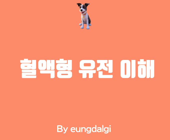  혈액형 유전에 대한 이해