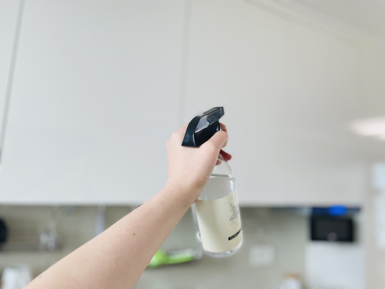 초파리 벌레 극혐오 4가지 활용법 4