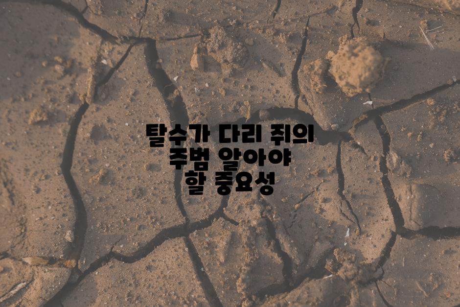 탈수가 다리 쥐의 주범 알아야 할 중요성