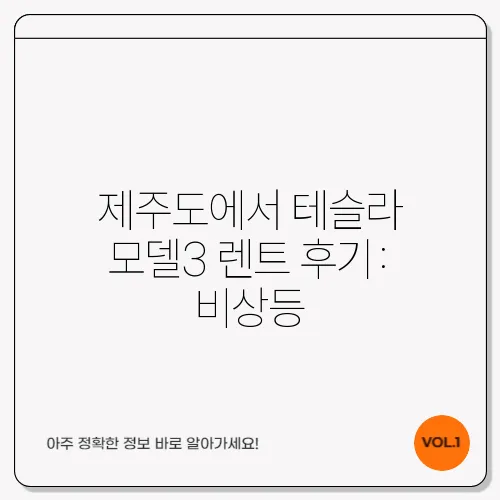 제주도에서 테슬라 모델3 렌트 후기: 비상등, 와이퍼, 오토파일럿 활용