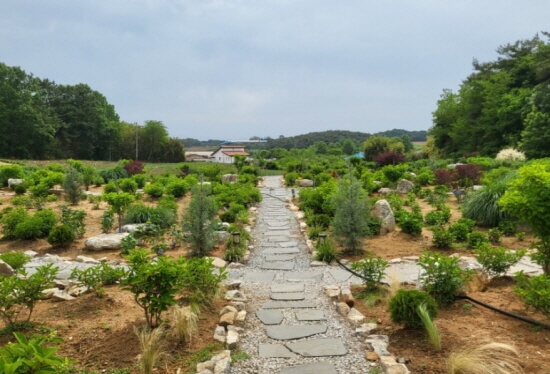 고창 청농원