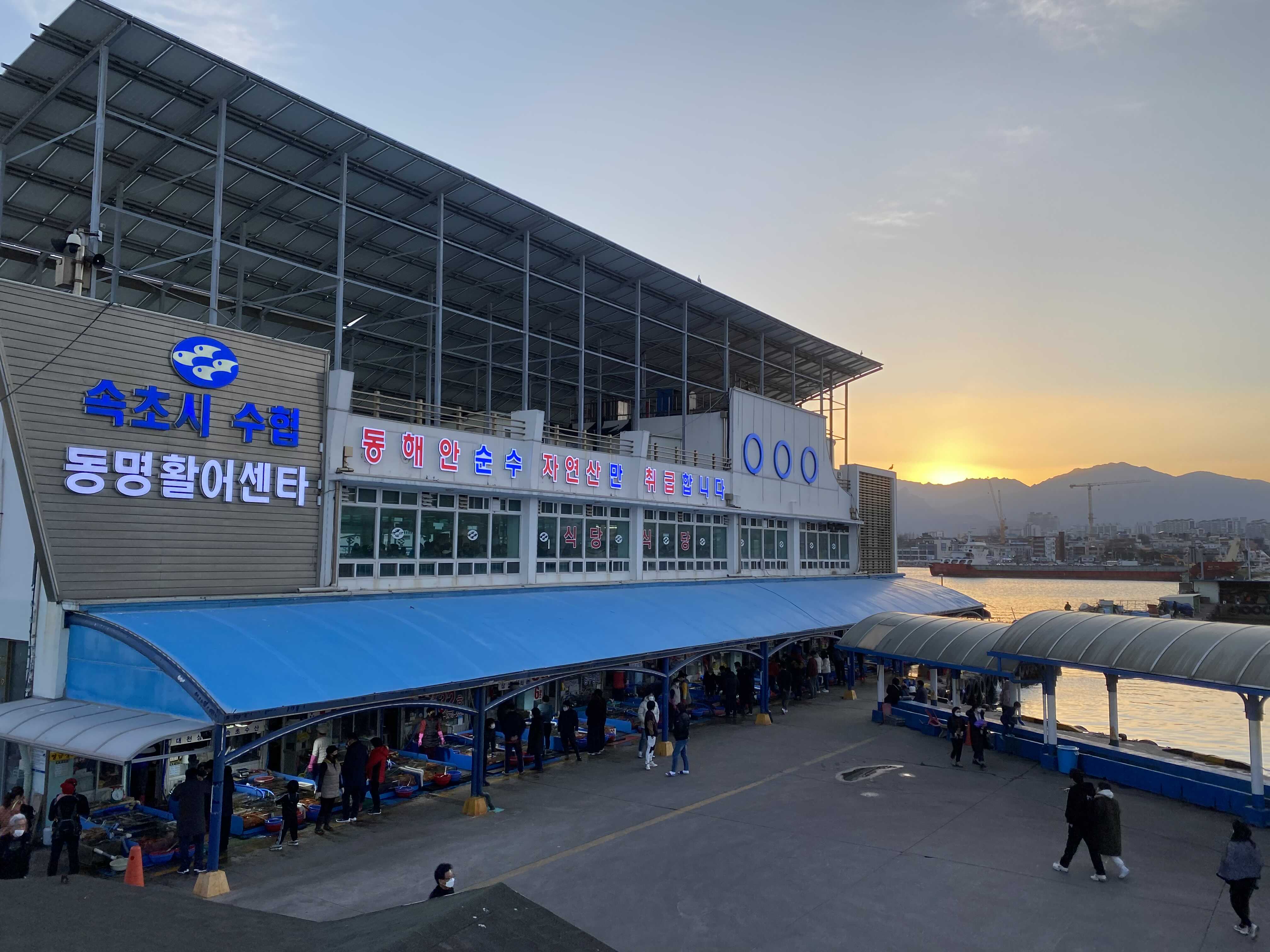  속초 동명항 동명활어센타 28호 연안채낚기 붉은대게(홍게) 바다송어회 구입 후기