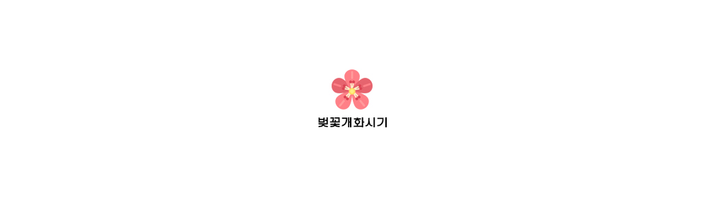  [봄꽃] 2019벚꽃개화시기 2019벚꽃만개시기