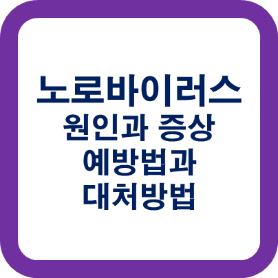 노로바이러스 원인과 증상 예방법과 대처법