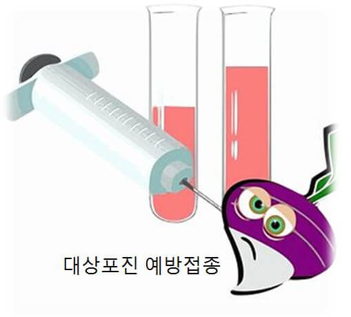 대상포진 예방접종  시기와 가격