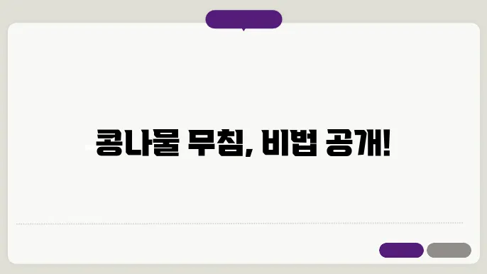 콩나물 무침 맛있죠 먹어 다니