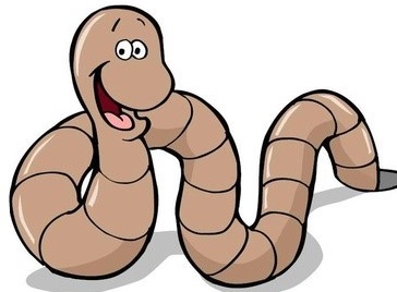  지렁이 꿈, 곤충 꿈 해몽 여러가지 입니다.