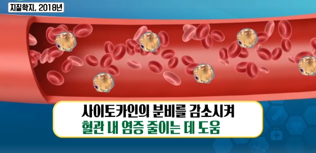 오메가3 효능