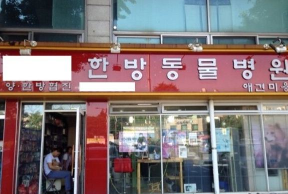  요즘 동물병원 트렌드
