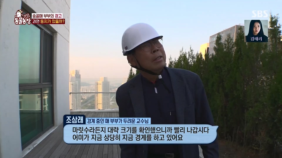 TV 동물농장.E1125.230618p.H264-F1RST.mp4_20230618_192113.832.jpg