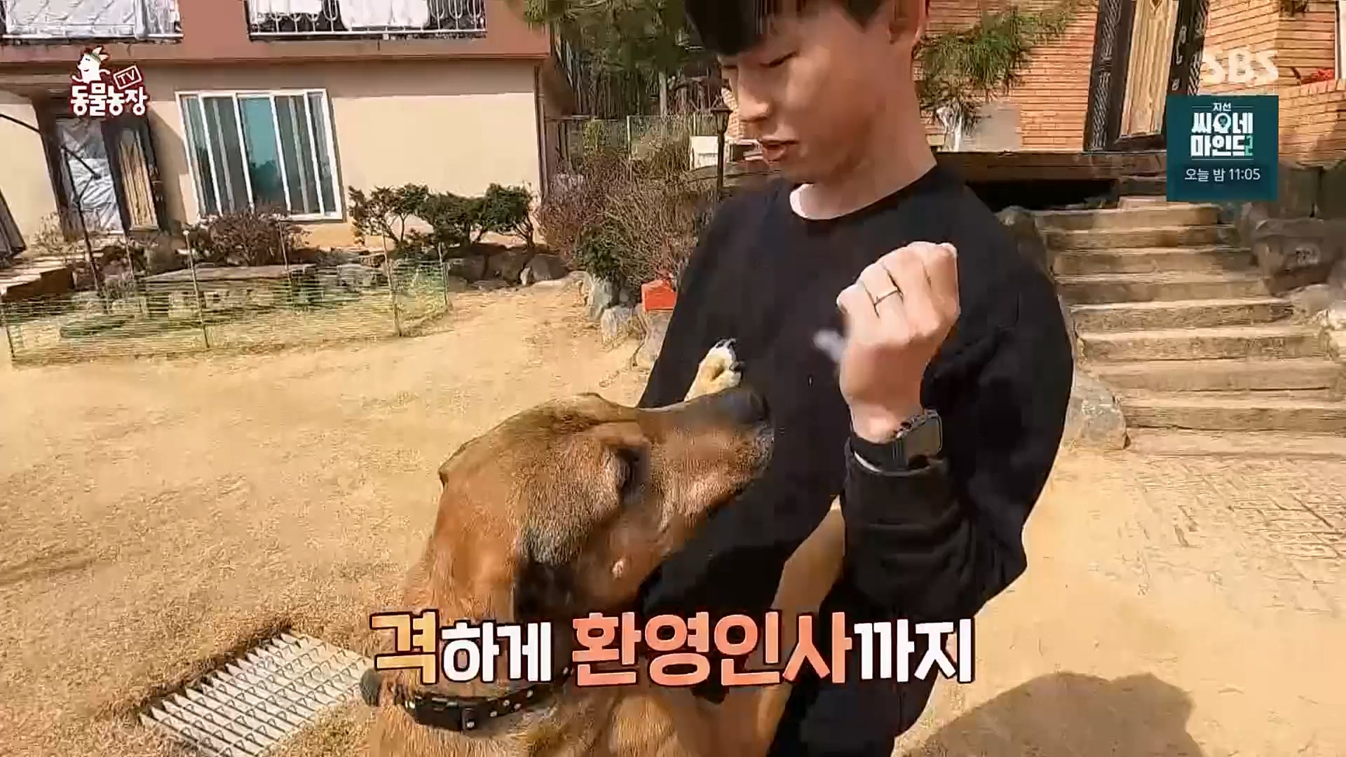 TV 동물농장.E1115.230409p.H264-F1RST.mp4_20230409_173048.544.jpg