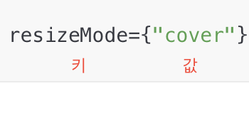 react native / 속성(Props)이 이해가 잘 되지 않아 쓰는 글 react native / 속성(Props)이 이해가 잘 되지 않아 쓰는 글