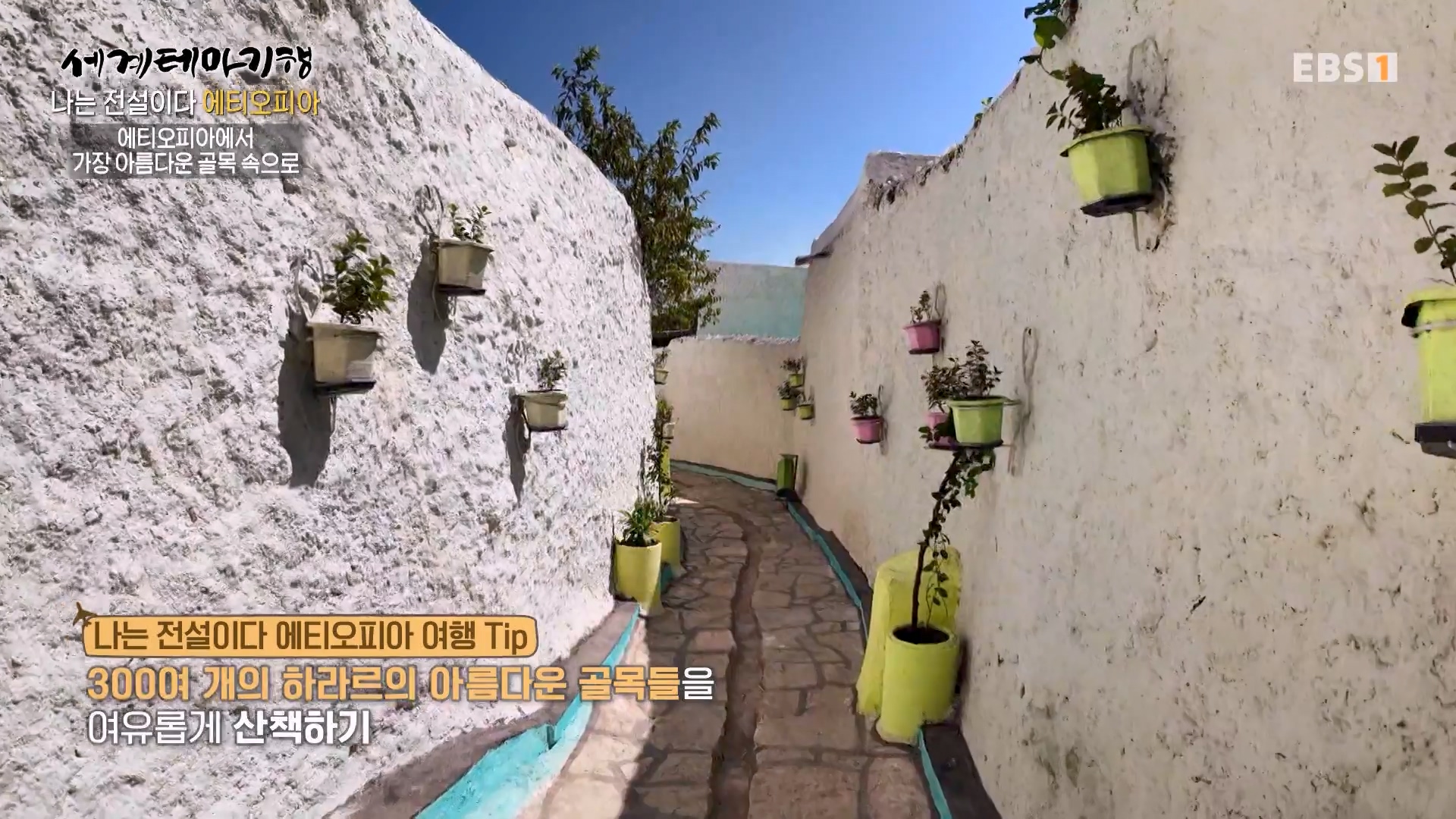 세계테마기행 240116 나는 전설이다 에티오피아 -골목의 전설, 하라르0p.mp4_20240713_174140.613.jpg