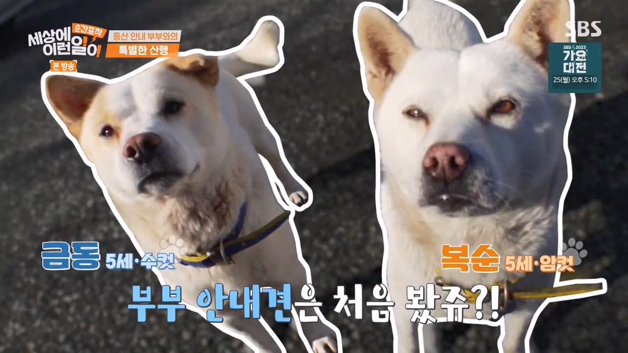 순간포착 세상에 이런일이.E1256.231217p-NEXT.mp4_20231217_174321.547.jpg