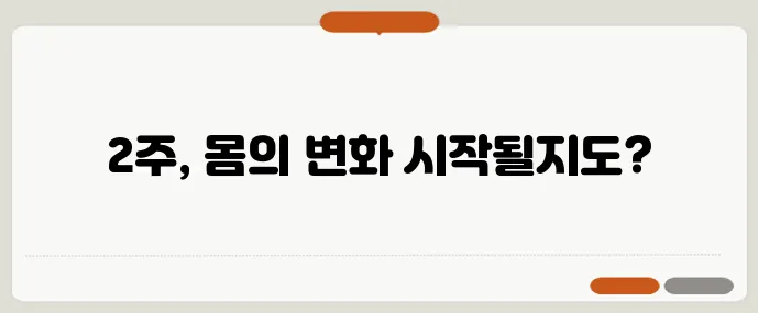 탄단지 40:30:30 식단표로 2주 만에 체중 감량에 도전해 보세요!