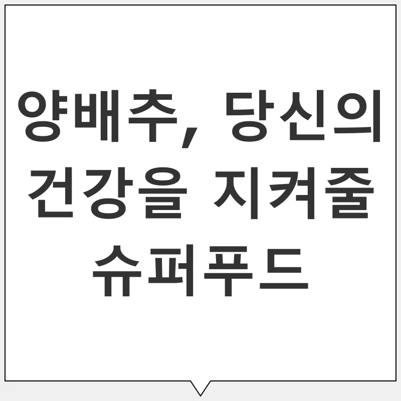 양배추 건강 효능_1