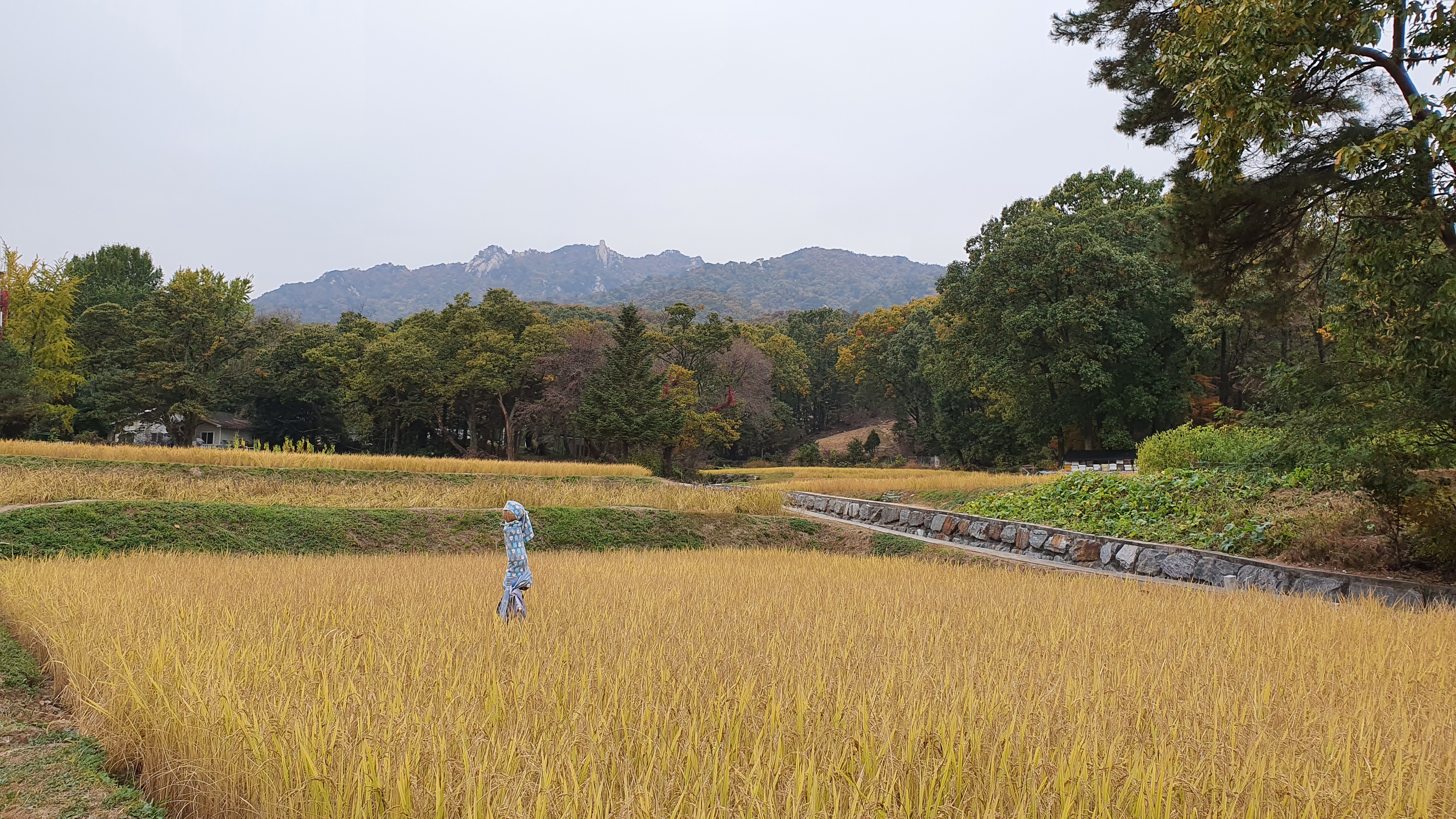 북한산 (2020-10-21) 10