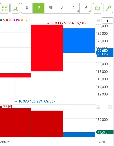 스마트레이더시스템 주봉