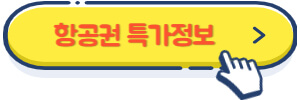 항공권 특가정보