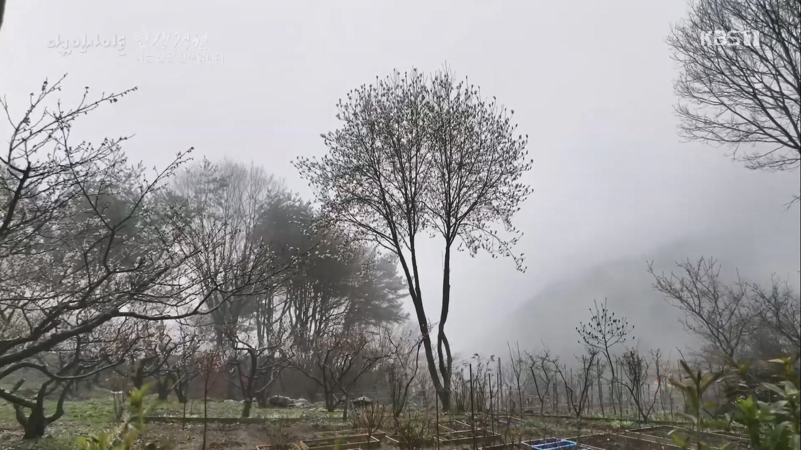 다큐 인사이트.E153.230608p.H264-F1RST.mp4_20230612_204050.692.jpg