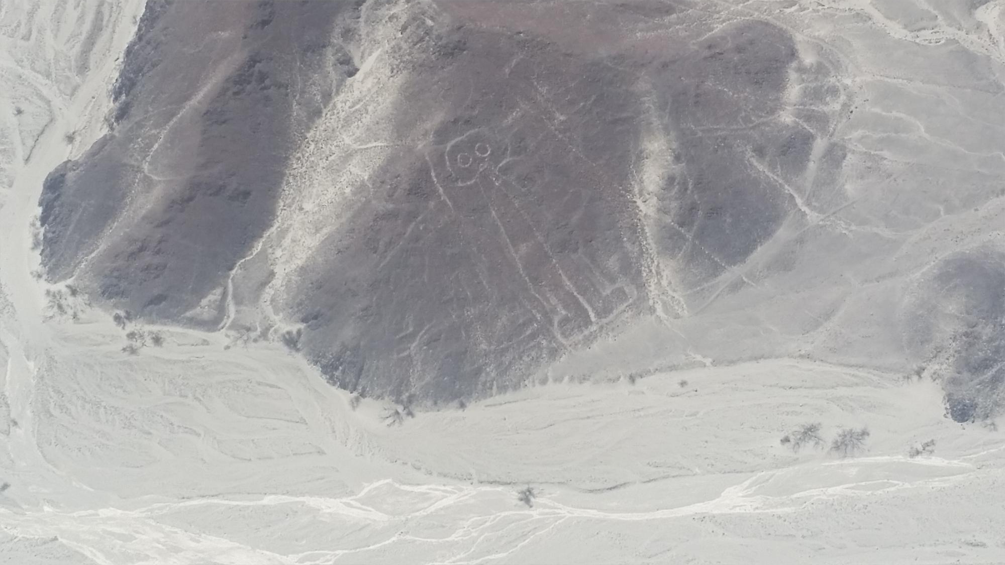 페루 여행 Day-66.1 나스카(Nazca)에서 나스카 라인(Nazca line) 경비행기 타고 보기(증보 필요)