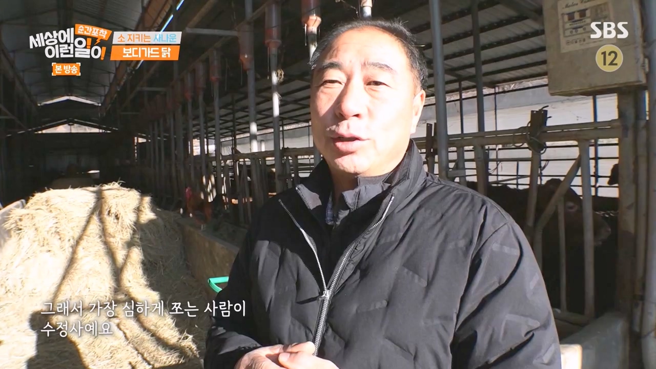 순간포착 세상에 이런일이.E1262.240128p-NEXT.mp4_20240128_184856.531.jpg
