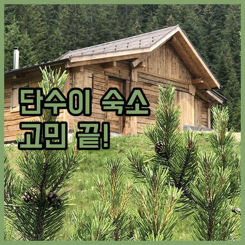 단수이 숙소 고민 끝! 베이뷰, 클라