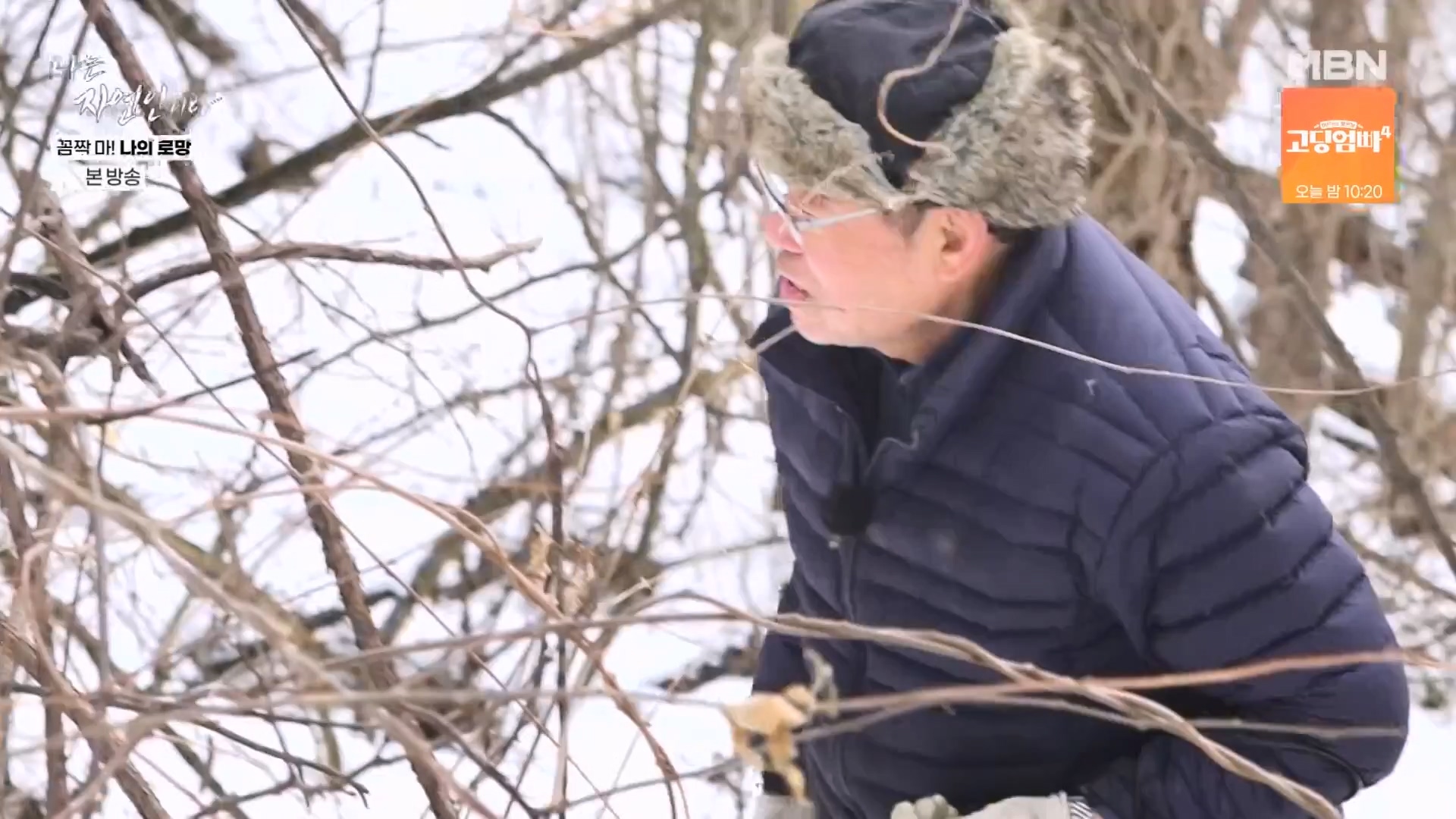 나는 자연인이다.E598.240320p-NEXT.mp4_20240321_202631.964.jpg