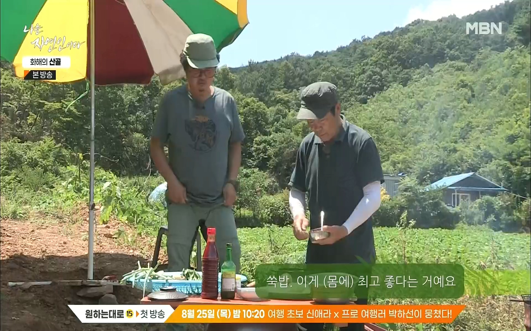 나는 자연인이다.E515.220817p.H264-F1RST.mp4_20220818_201929.187.jpg