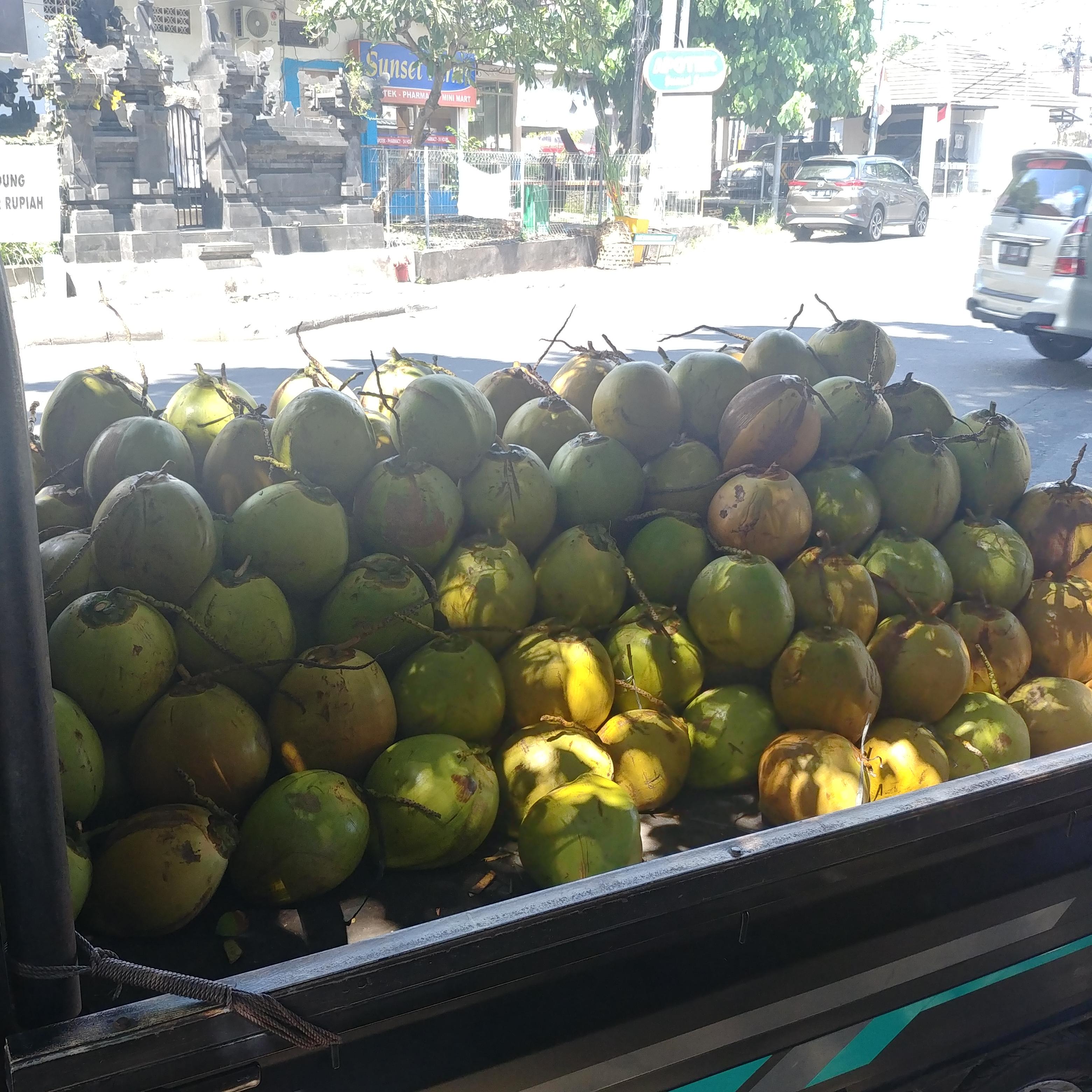 인도네시아 발리 길거리 코코넛 사먹기 Coconut
