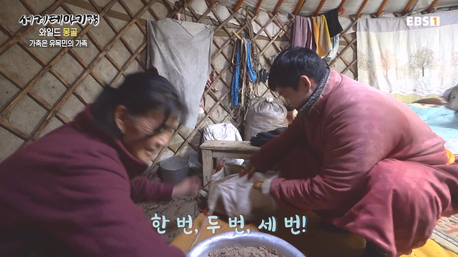 세계테마기행 240215 와일드 몽골 -알타이, 야생의 전설을 찾아서0p.mp4_20240802_204107.970.jpg