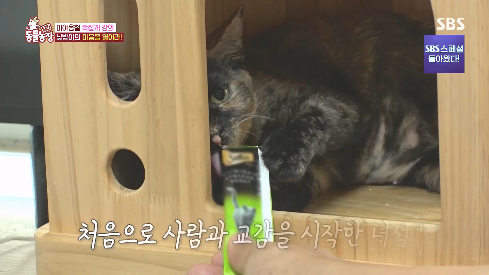TV 동물농장.E1136.230903p.H264-F1RST.mp4_20230903_180402.205.jpg