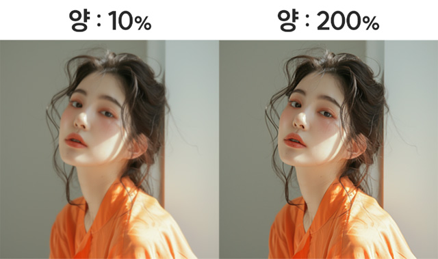 세부 옵션 설명